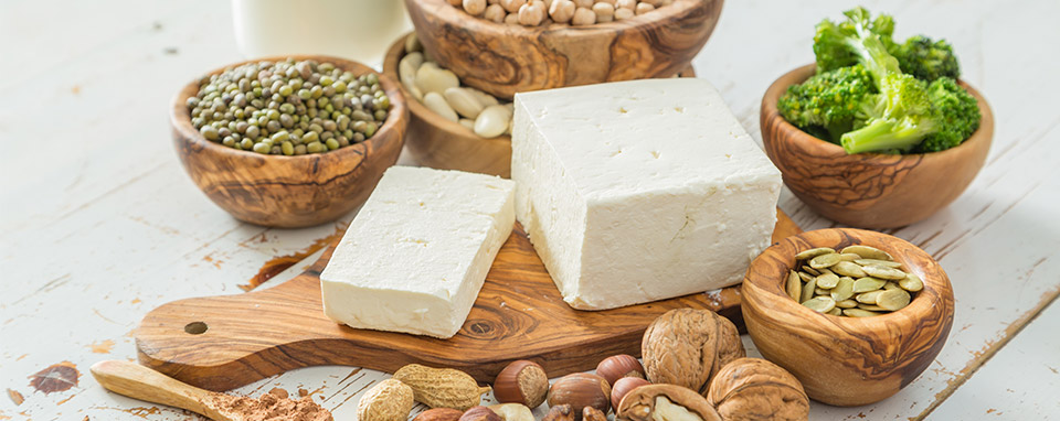 Rastlinske beljakovine