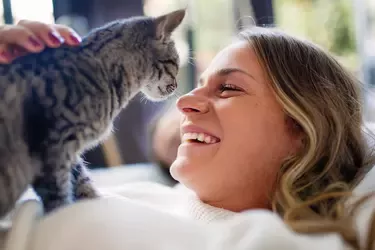 banner cat