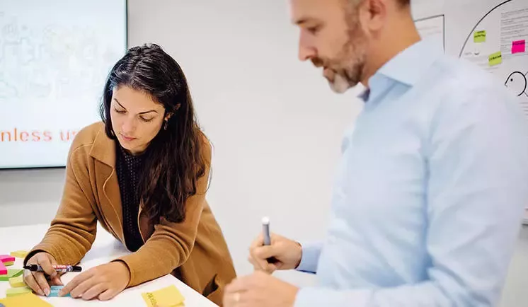 Working colleagues